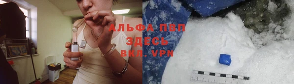 стаф Абаза