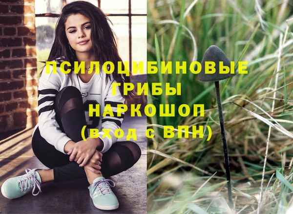 стаф Абаза