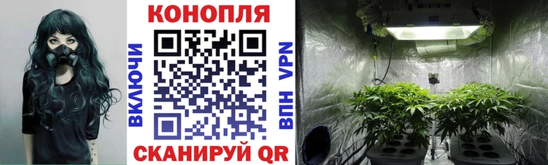 hydra ONION  Якутск  Канабис OG Kush 